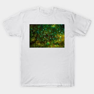 Raindrops Captured By Pine Trees T-Shirt